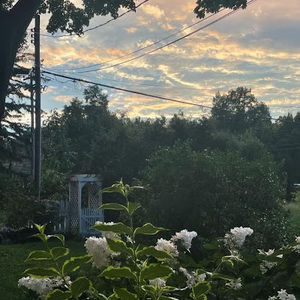 Meet your Posher, Anne-marie